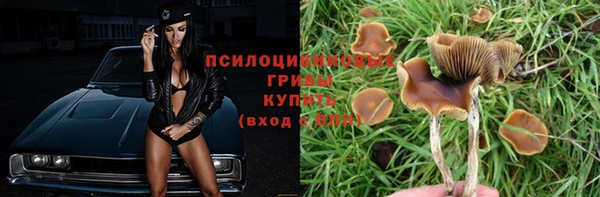 jwh Куйбышев