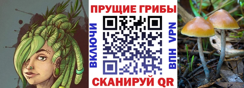 сайты даркнета какой сайт  Поронайск  Псилоцибиновые грибы Psilocybine cubensis  закладки  blacksprut ссылка 